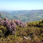 DSCN4482