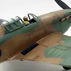 SDC39341