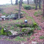 DSCN5393