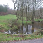 DSCN5387