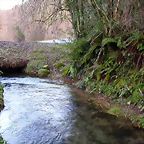 DSCN1243