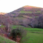 DSCN1246