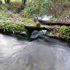 DSCN1238