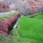 DSCN1251