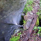 DSCN1240