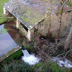 DSCN1219