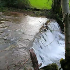 DSCN1242