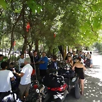 DSC01990
