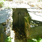 DSCN2121