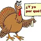 pavo