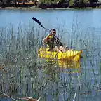 Navegando por los juncos del Rio Negro