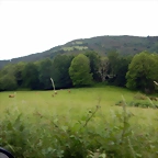 DSCN3346
