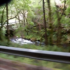 DSCN3344