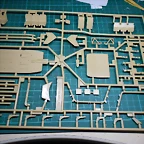 DSCN4364