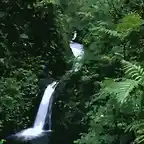 catarata