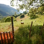 DSCN2412