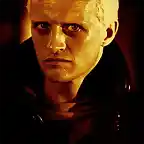 hauer1