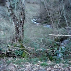 DSCN2974