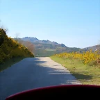 15-IMG_5673
