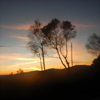 DSCN9382