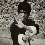 Bruce-Lee