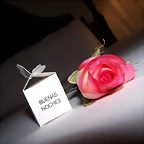 ROSA DE BUENAS NOCHES