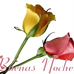 DOS ROSAS DE BUENAS NOCHES