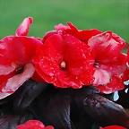 May 2011 059