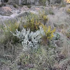 IMG_20210106_164436