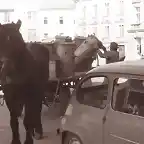 Kranj - Ein mit M?lltonnen beladener Pferdewagen, 1962