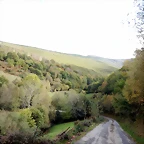 DSCN8366