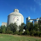 DSCN8275