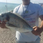 dorada3kg