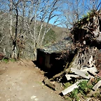 DSCN3772