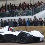 Bac_mono_(7493933248)