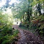 DSCN4455