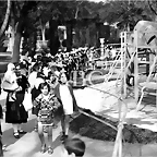 elefante_3