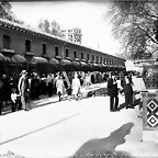 jaulas