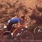 GIMONDI,1