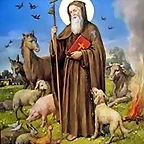 SAN ANTON, PATRON DE LOS ANIMALES