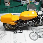 DSCN4532