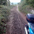 DSCN5373