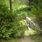 DSCN5341