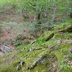 DSCN3890