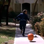 attack-of-the-killer-tomatoes