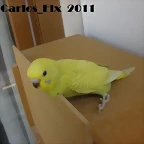 1 de la otra  14-5-11