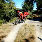 DSCN6799