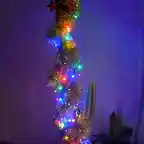 Cactus - Navidad