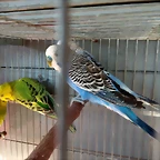 IMG_20180122_154535