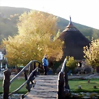 DSCN8735